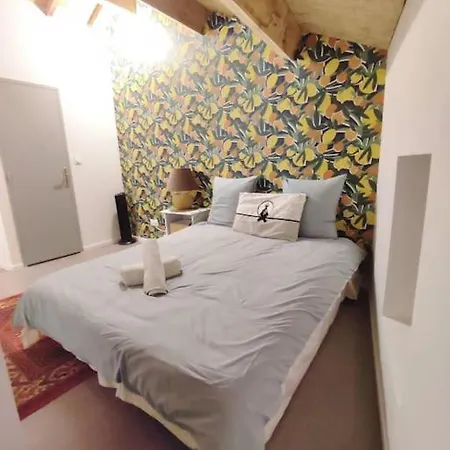Apartman Pres Des Volcans